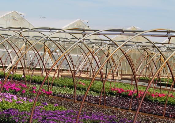 Hoop House