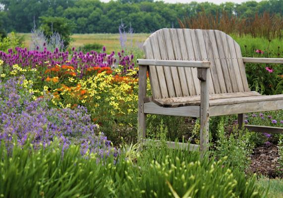 Perennial Plant of the Year garden